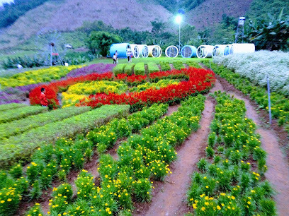 Mộc Châu Happy Land