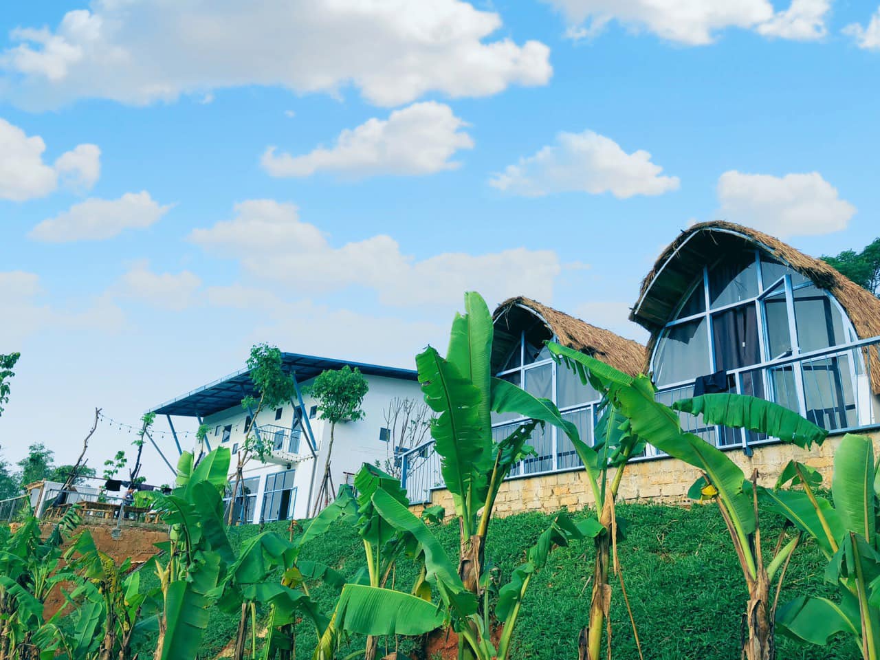 HOYA HOUSE - NƠI TA SỐNG TRỌN TỪNG KHOẢNH KHẮC