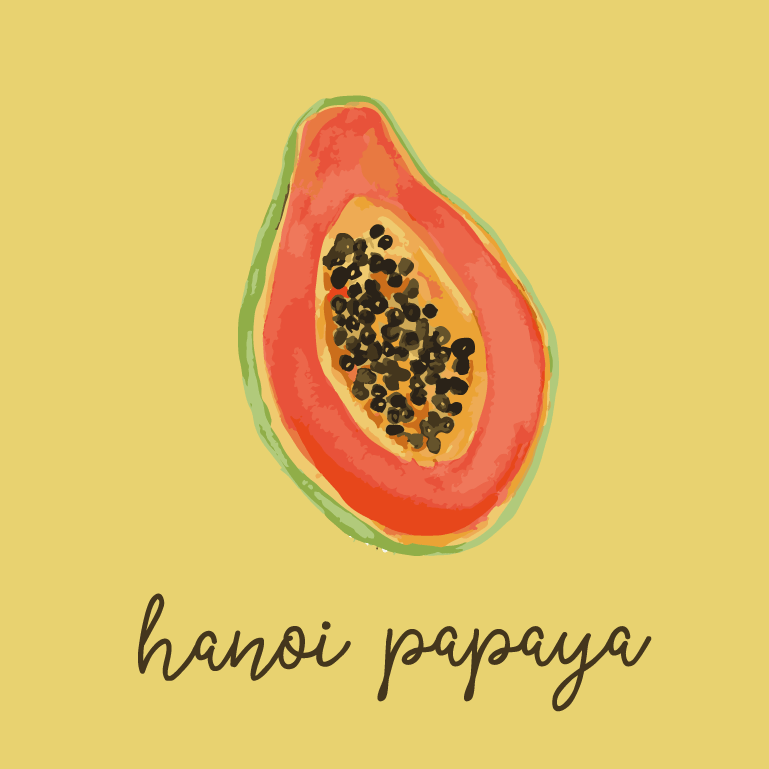 Hanoi Papaya homestay