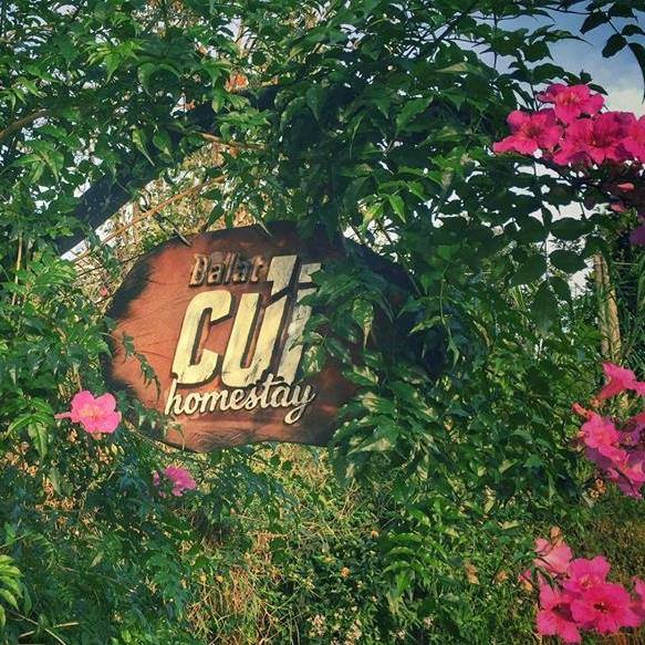 Củi HomeStay